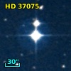 HD  37075