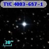 TYC 4003-687-1