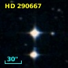 HD 290667