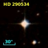 HD 290534