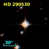 HD 290530