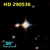 HD 290536