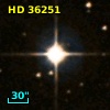 HD  36251