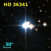 HD  36341