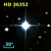 HD  36352