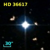 HD  36617