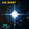 HD  36997