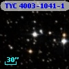 TYC 4003-1041-1
