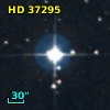 HD  37295
