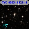 TYC 4003-1123-1