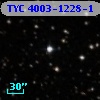 TYC 4003-1228-1