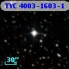 TYC 4003-1603-1