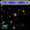 TYC 4003-2004-1