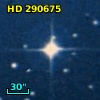 HD 290675