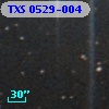 TXS 0529-004