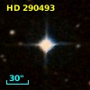 HD 290493