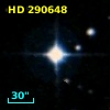 HD 290648