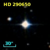 HD 290650