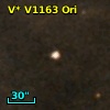V* V1163 Ori