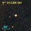 V* V1184 Ori