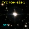 TYC 4004-828-1