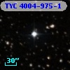 TYC 4004-975-1