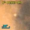 V* V1667 Ori