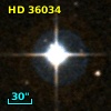 HD  36034