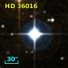 HD  36016