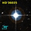 HD  36035