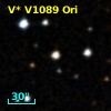 V* V1089 Ori