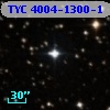 TYC 4004-1300-1