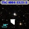 TYC 4004-1323-1