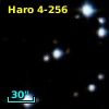 Haro 4-256