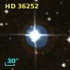 HD  36252
