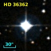 HD  36362