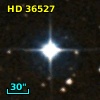 HD  36527