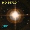 HD  36710