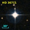 HD  36711