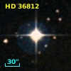 HD  36812