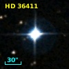 HD  36411