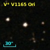V* V1165 Ori