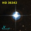HD  36342