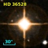 HD  36528