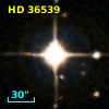 HD  36539