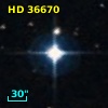 HD  36670