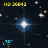 HD  36842