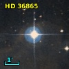 HD  36865