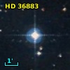 HD  36883