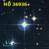 HD  36936